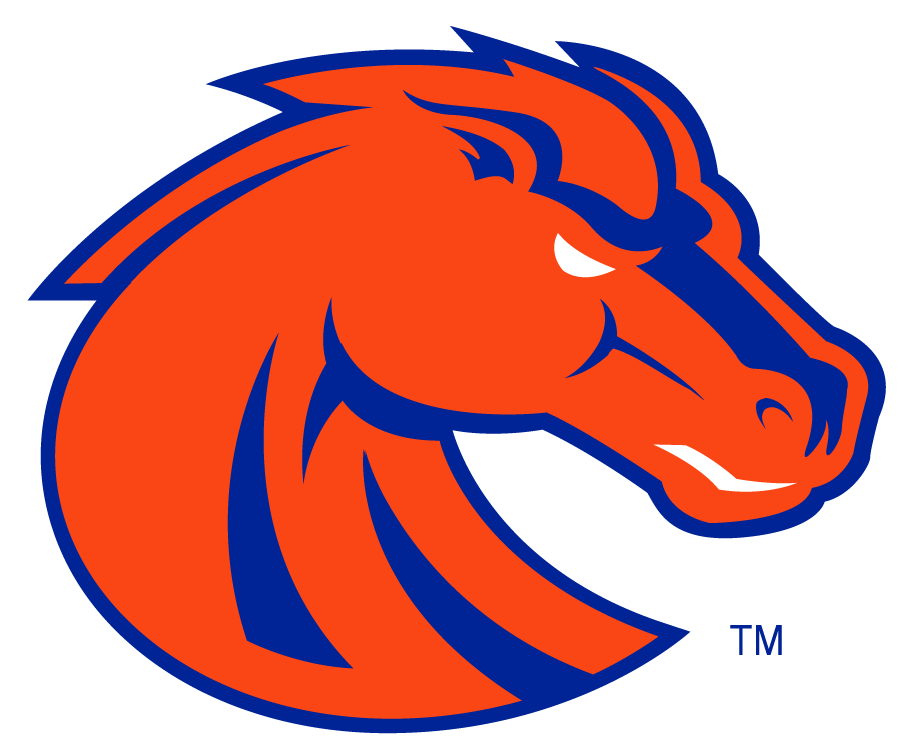 Boise State Broncos 2002-2012 Secondary Logo v3 diy DTF decal sticker